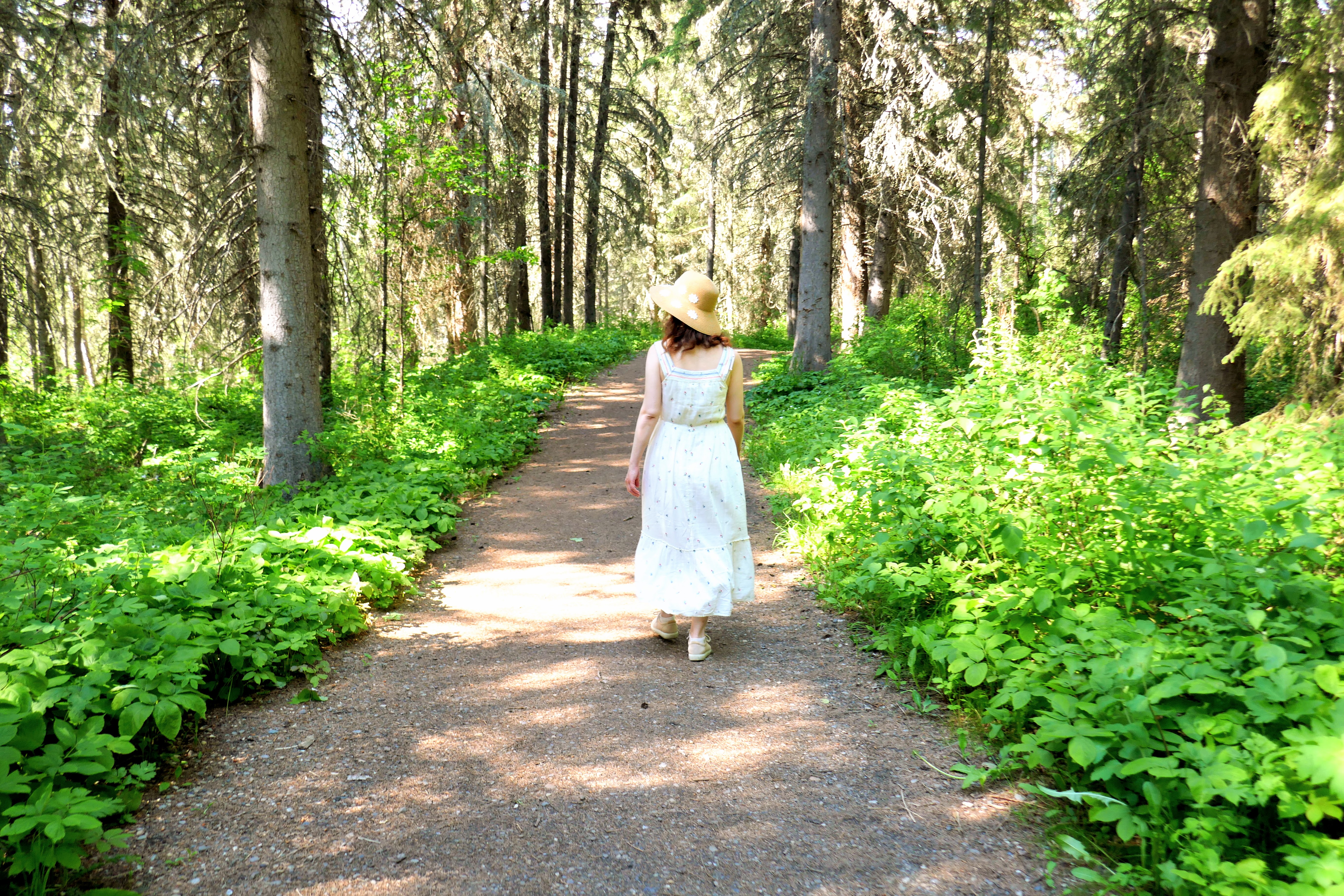 Anita Kiss, PhD - Spiritual Counselling